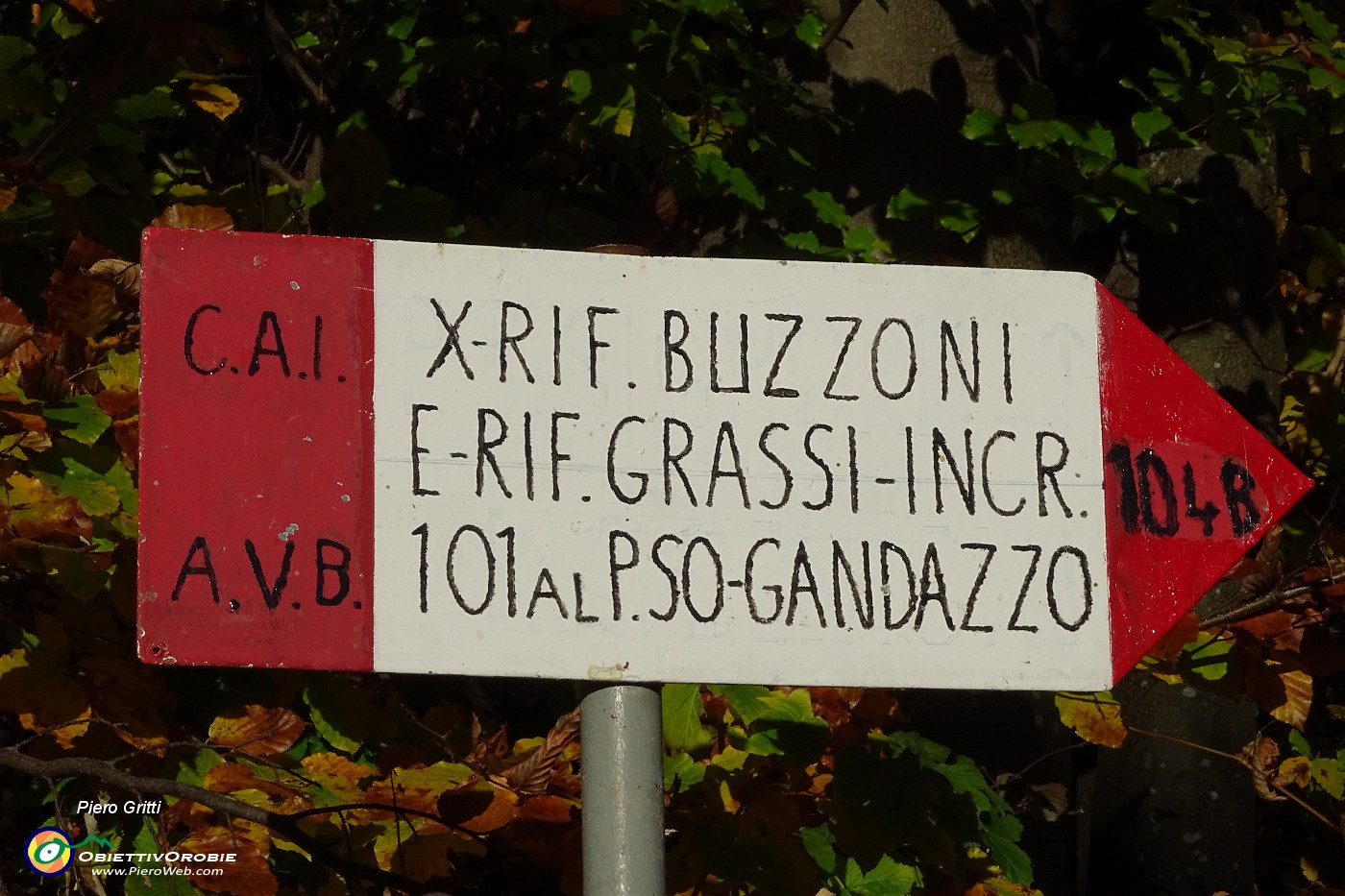 20 Chiare indicazioni da seguire.JPG